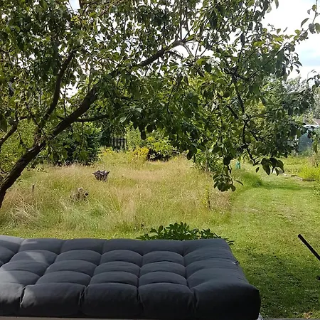 Apartment Poziomkowo Mi W Borach Tucholskich *