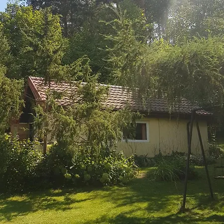 Poziomkowo Mi W Borach Tucholskich * Wycinki