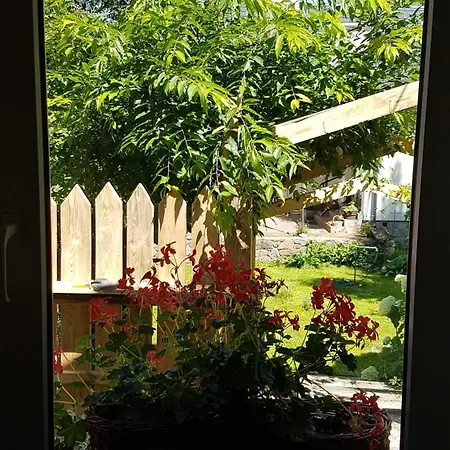 Poziomkowo Mi W Borach Tucholskich Apartment *