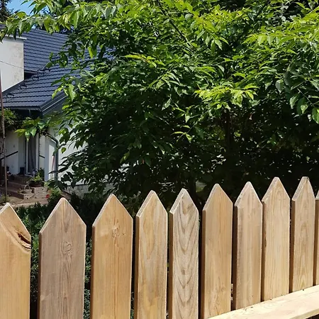 Poziomkowo Mi W Borach Tucholskich Wycinki