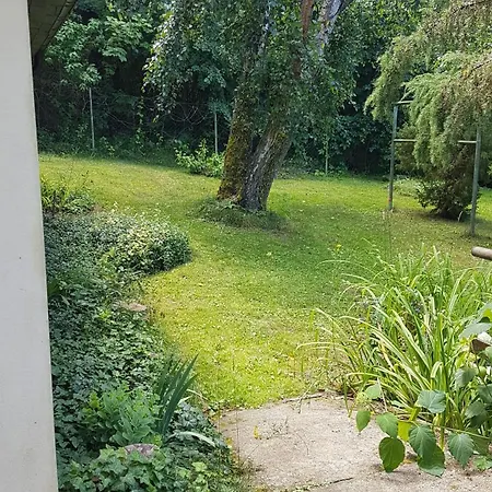 Poziomkowo Mi W Borach Tucholskich * Wycinki