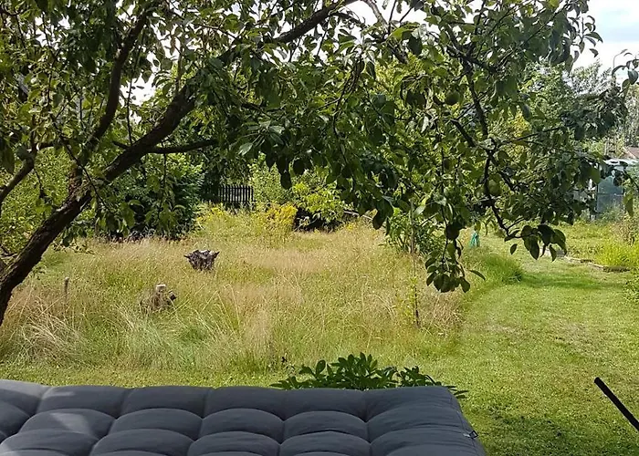 Apartman Poziomkowo Mi W Borach Tucholskich *