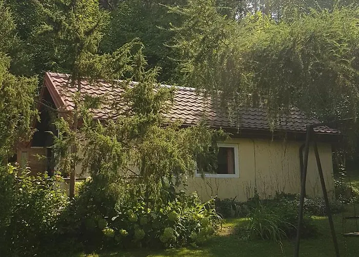 Poziomkowo Mi W Borach Tucholskich * Wycinki