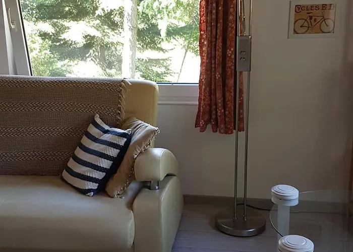 Poziomkowo Mi W Borach Tucholskich Wycinki