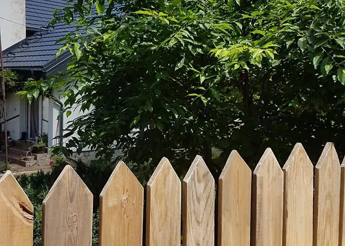 Poziomkowo Mi W Borach Tucholskich Wycinki