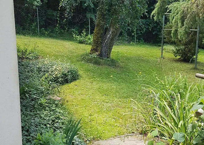 Poziomkowo Mi W Borach Tucholskich * Wycinki