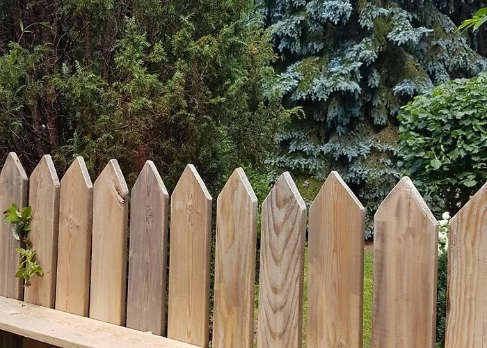 Apartman Poziomkowo Mi W Borach Tucholskich Wycinki