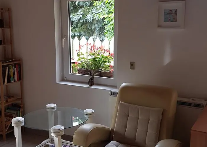 Poziomkowo Mi W Borach Tucholskich * Wycinki