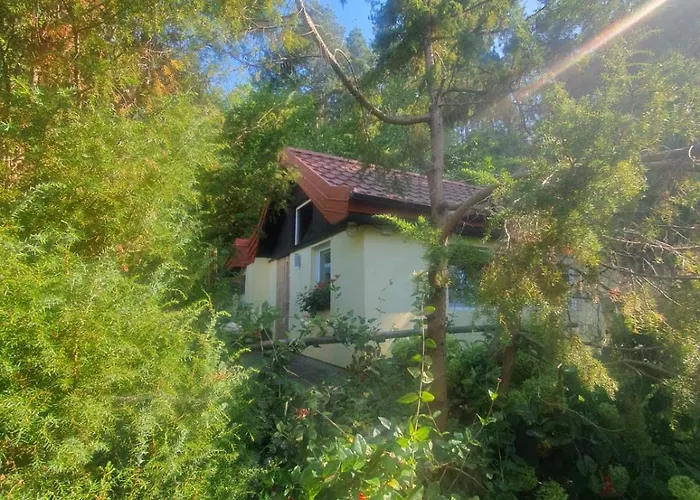 Poziomkowo Mi W Borach Tucholskich * Wycinki